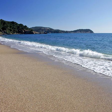 A Deux Pas De La Plage De Sable Le Pradet Exterior foto